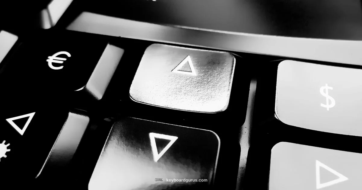 Key-Heavy Layout - Keyboard Gurus