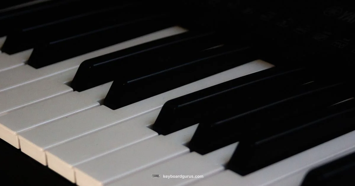 Typing Spanish Ñ Typing Spanish Ñ - Keyboard Gurus