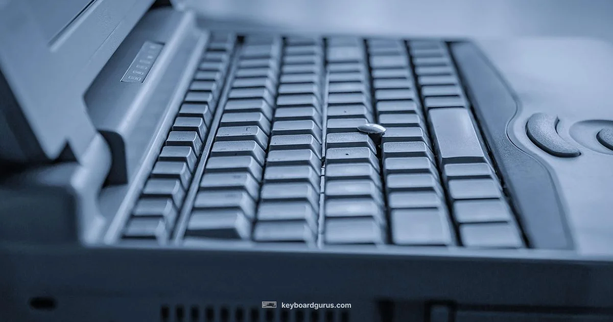 Keyboard Software Keyboard Software - Keyboard Gurus