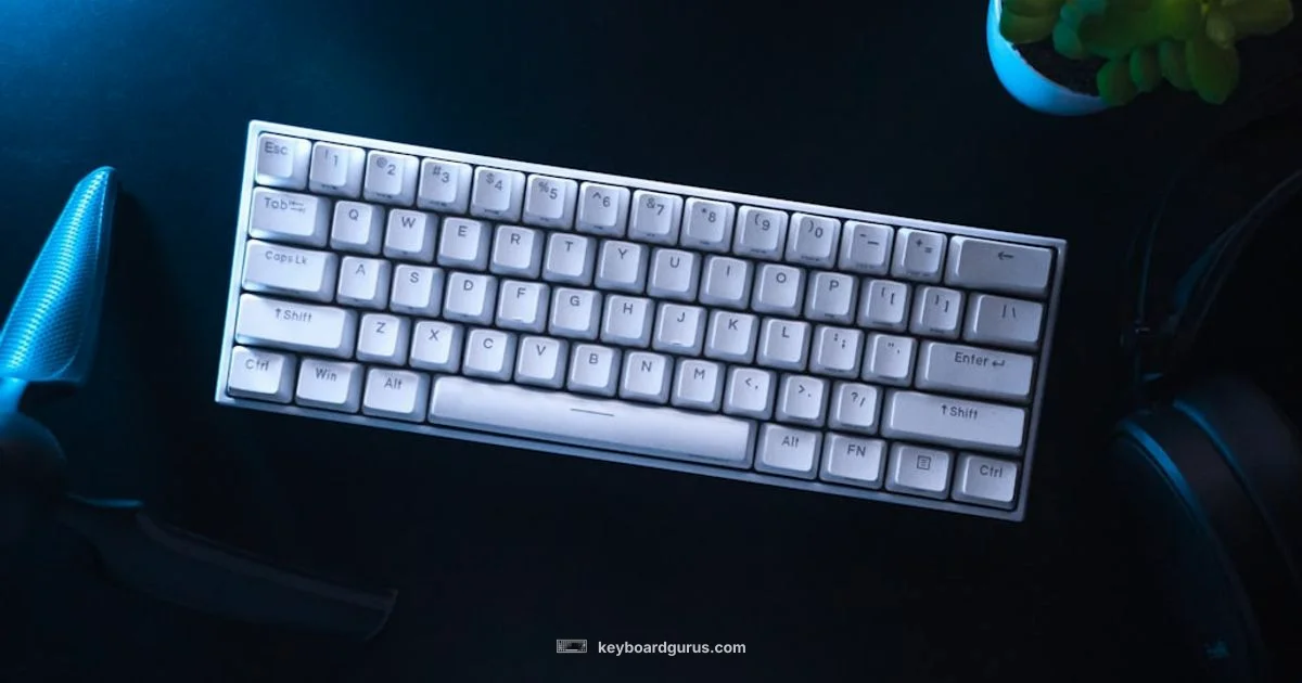 Top 2022 Keyboards - Keyboard Gurus