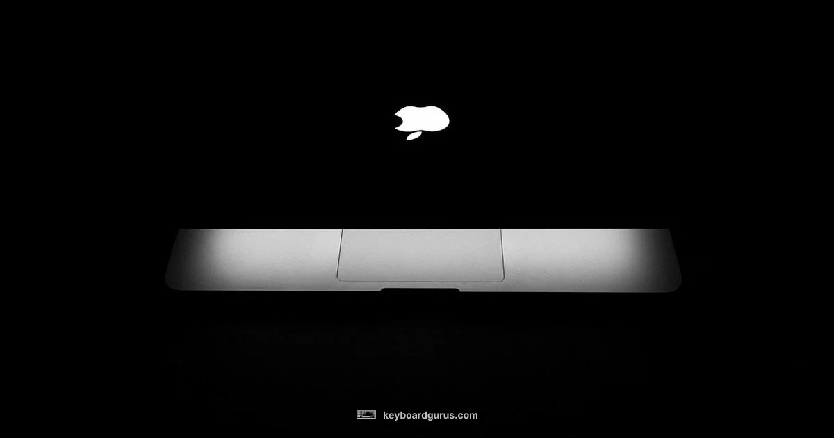 Best Keyboard Size - Keyboard Gurus