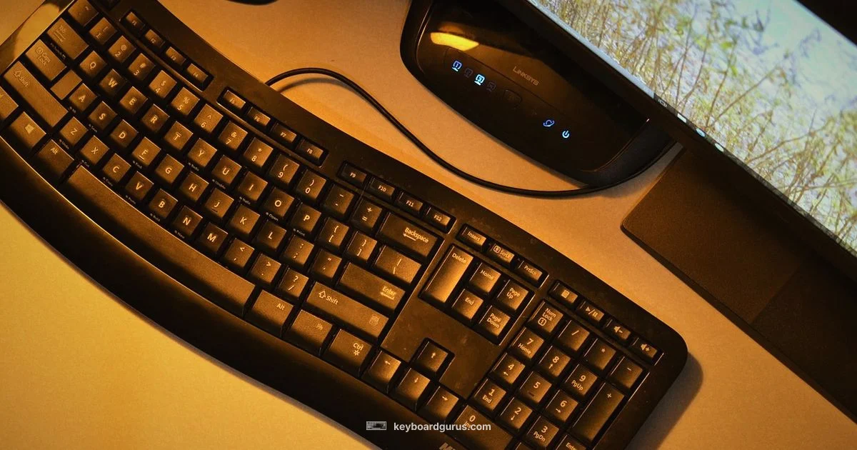 Keyboard Ergonomics - Keyboard Gurus