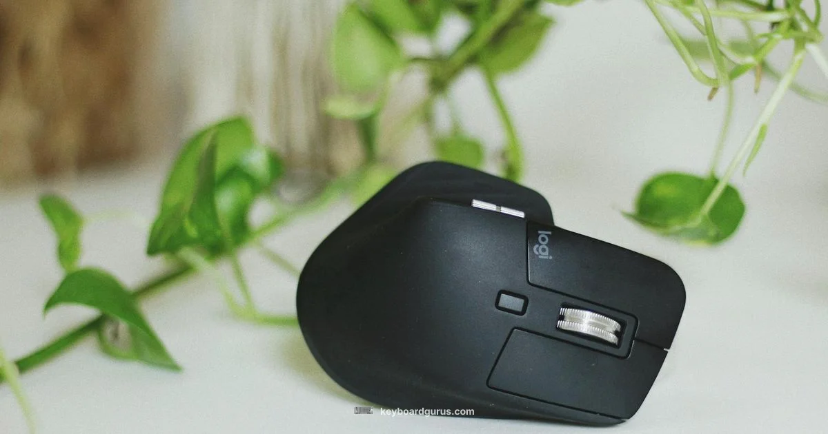 MK345 Overview Guide MK345 Overview Guide - Keyboard Gurus