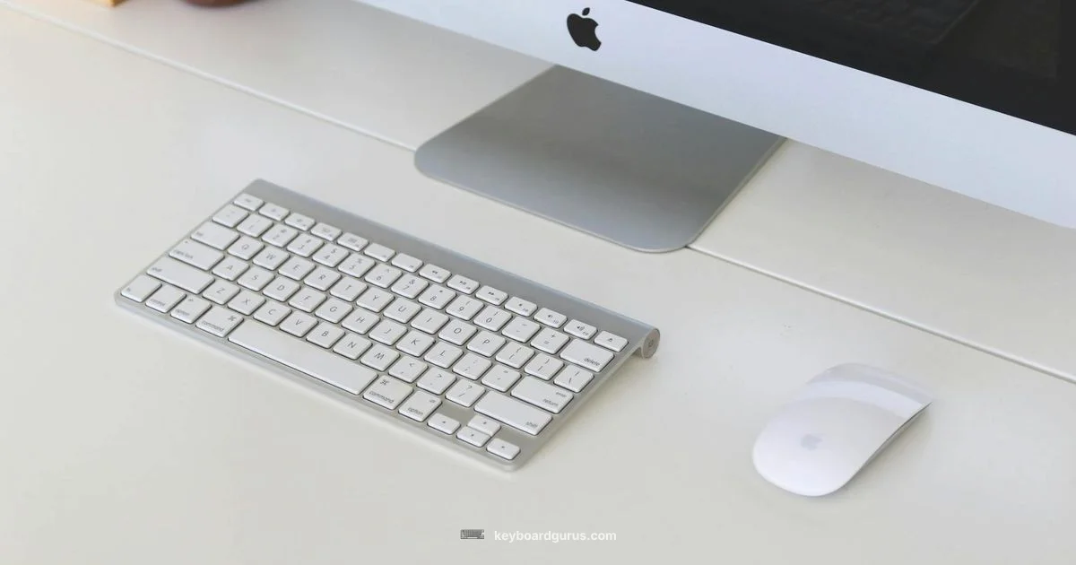 Keyboard Types Overview - Keyboard Gurus