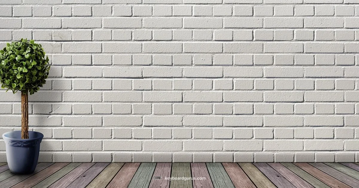 Auto Clicker Guide - Keyboard Gurus