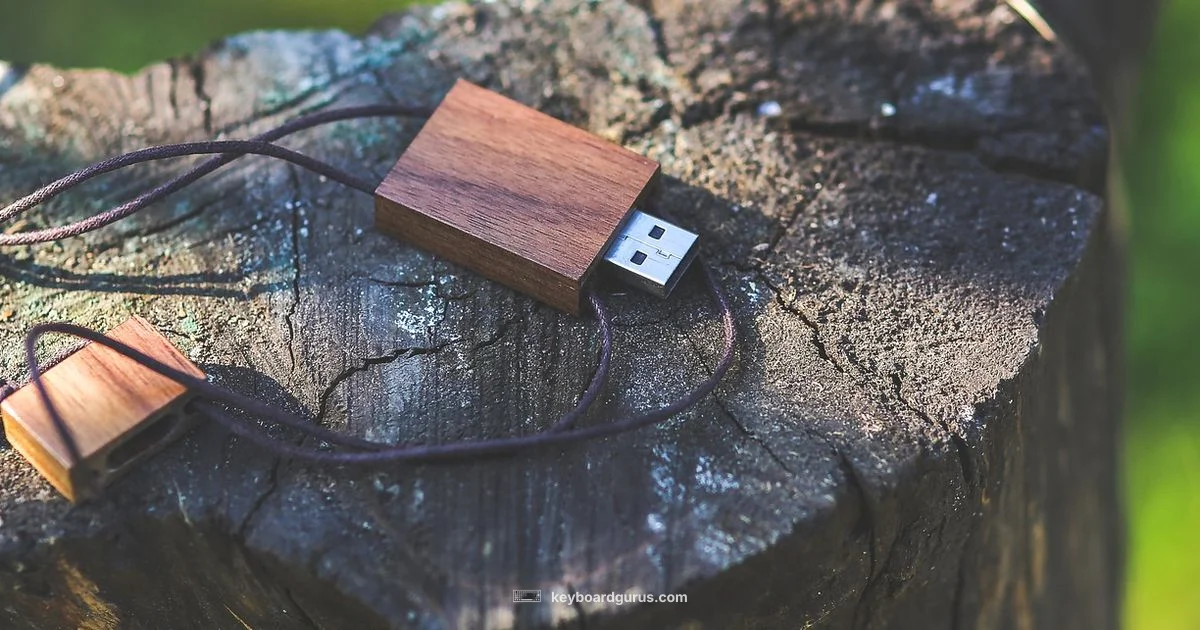 USB Keyboard Basics - Keyboard Gurus