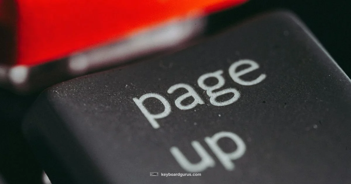 Page Down Mastery - Keyboard Gurus
