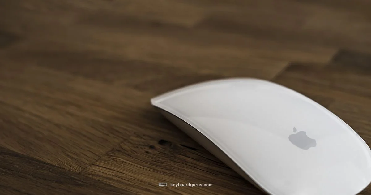 Apple Input Devices - Keyboard Gurus