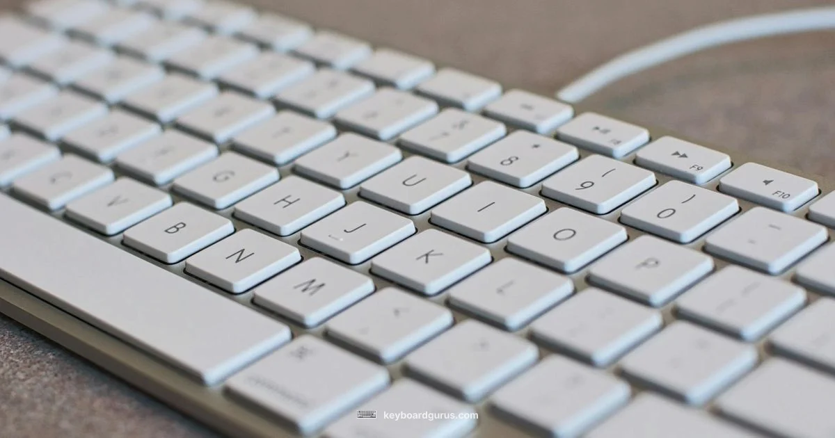 Wooting Review Wooting Review - Keyboard Gurus