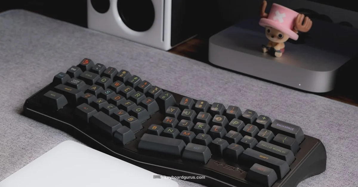 Budget Keyboard Review - Keyboard Gurus