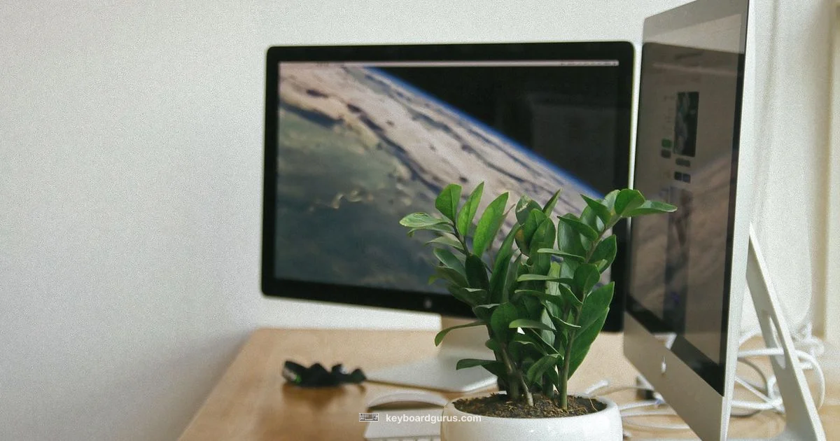 Keyboard-to-Monitor Guide Keyboard-to-Monitor Guide - Keyboard Gurus