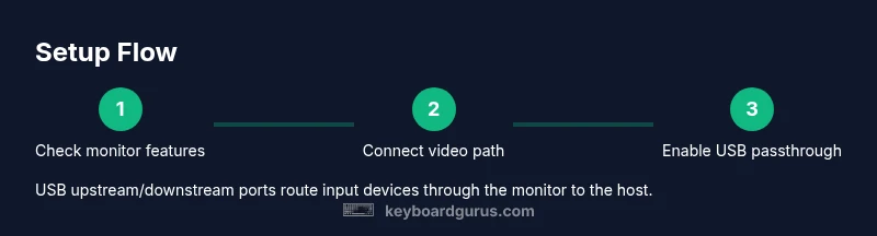 Process diagram showing monitor USB passthrough setup