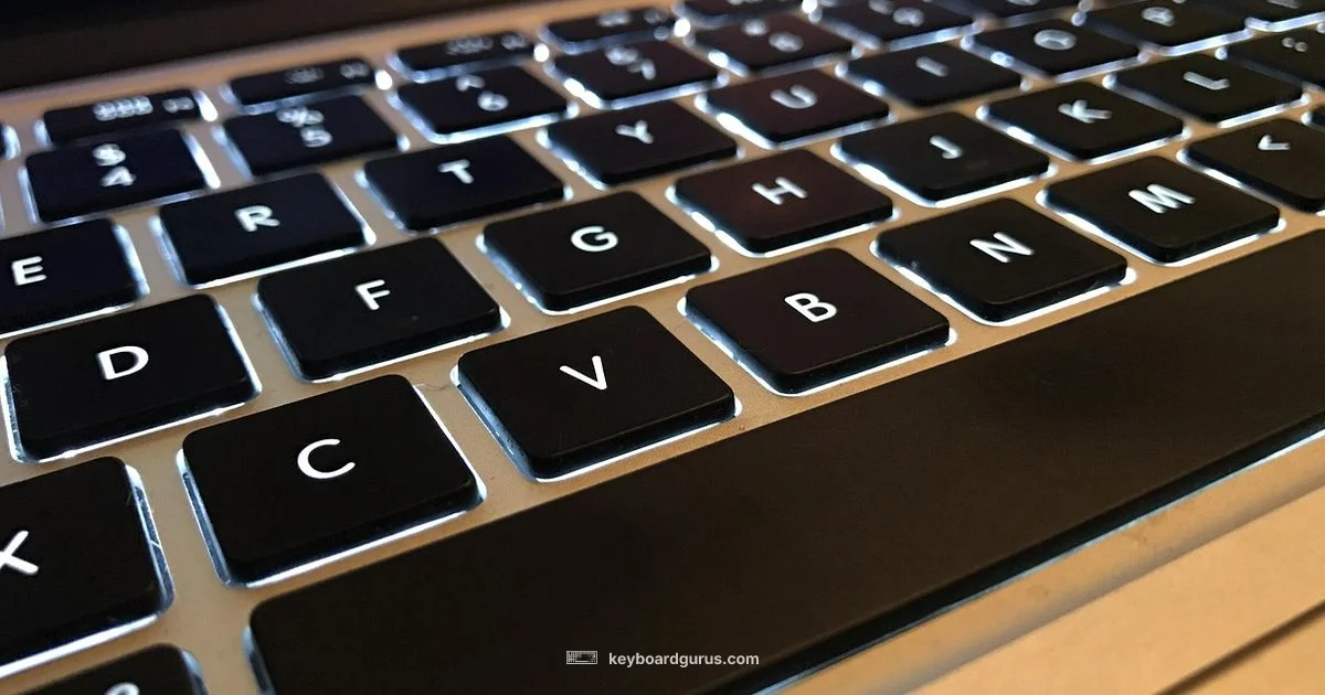 Keyboard Keys Guide Keyboard Keys Guide - Keyboard Gurus