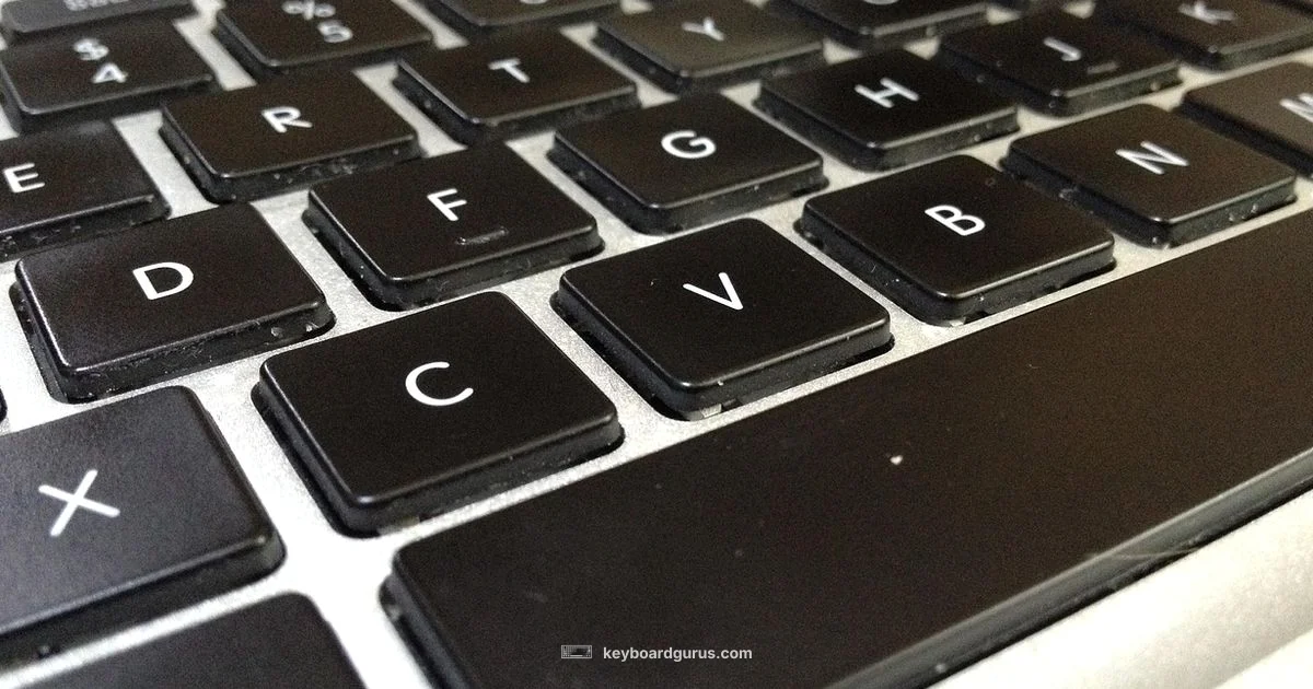 Travel Keyboard - Keyboard Gurus