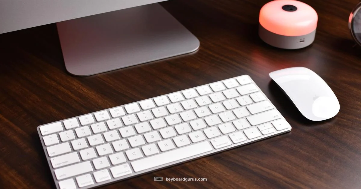 Tenkeyless Guide - Keyboard Gurus