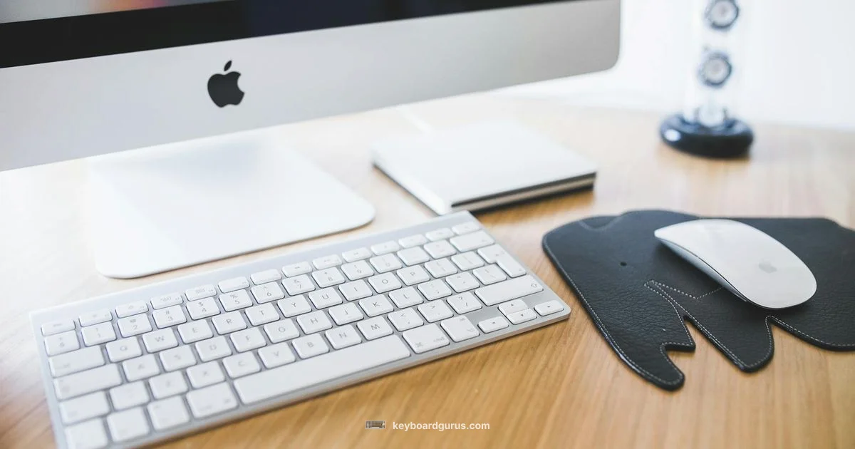 Keyboard Basics and Setup Keyboard Basics and Setup - Keyboard Gurus