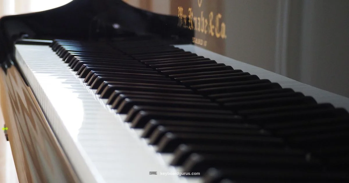 Portable Keyboard Piano - Keyboard Gurus