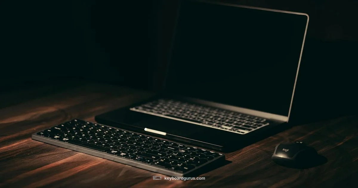 Logitech K800 Overview - Keyboard Gurus