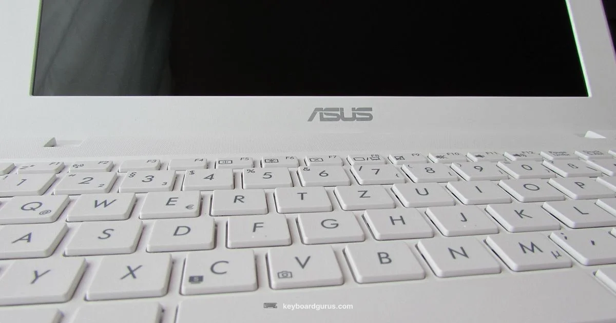 ASUS Keyboard Lighting ASUS Keyboard Lighting - Keyboard Gurus