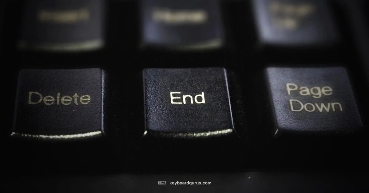 Keyboard Setup - Keyboard Gurus