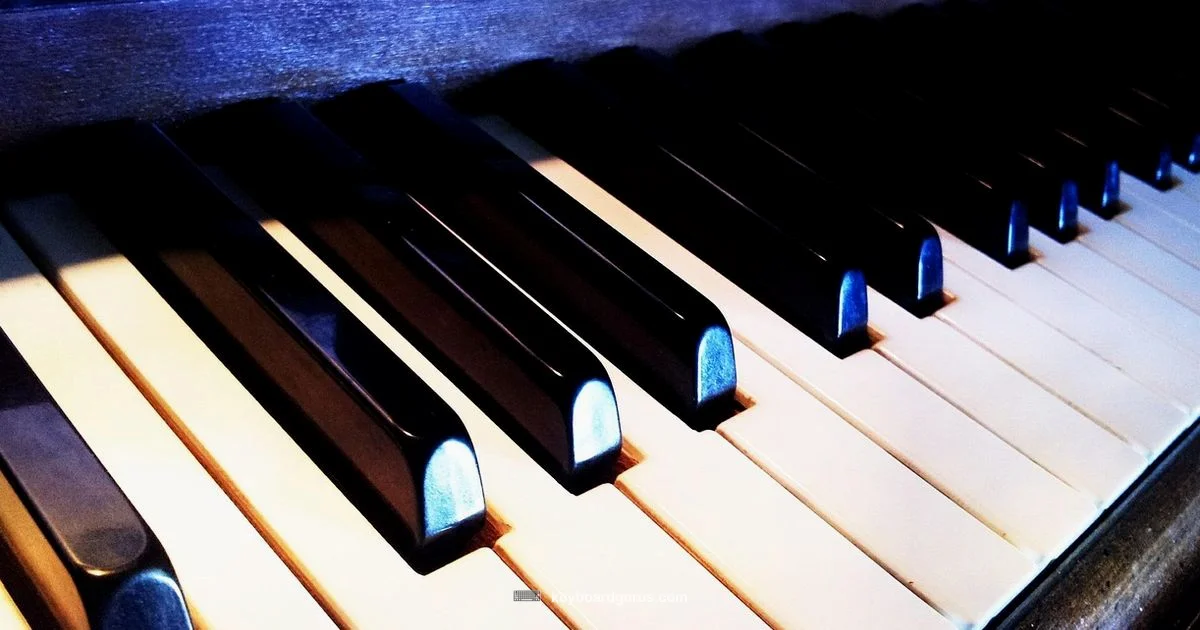 Beginner Keyboard Guide - Keyboard Gurus