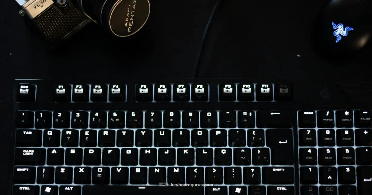 Membrane vs Mechanical - Keyboard Gurus