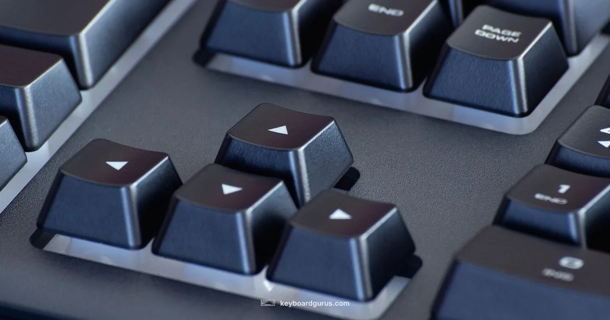 Ultra-Low Latency - Keyboard Gurus