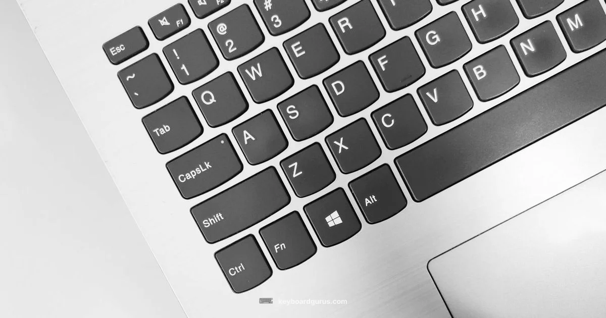 Keyboard Locked Fix - Keyboard Gurus