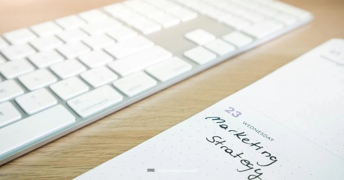 Analog Keyboard Guide - Keyboard Gurus