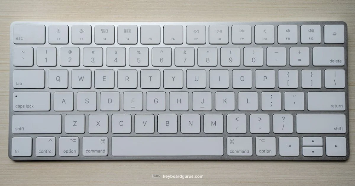 Fix Keyboard Fast - Keyboard Gurus