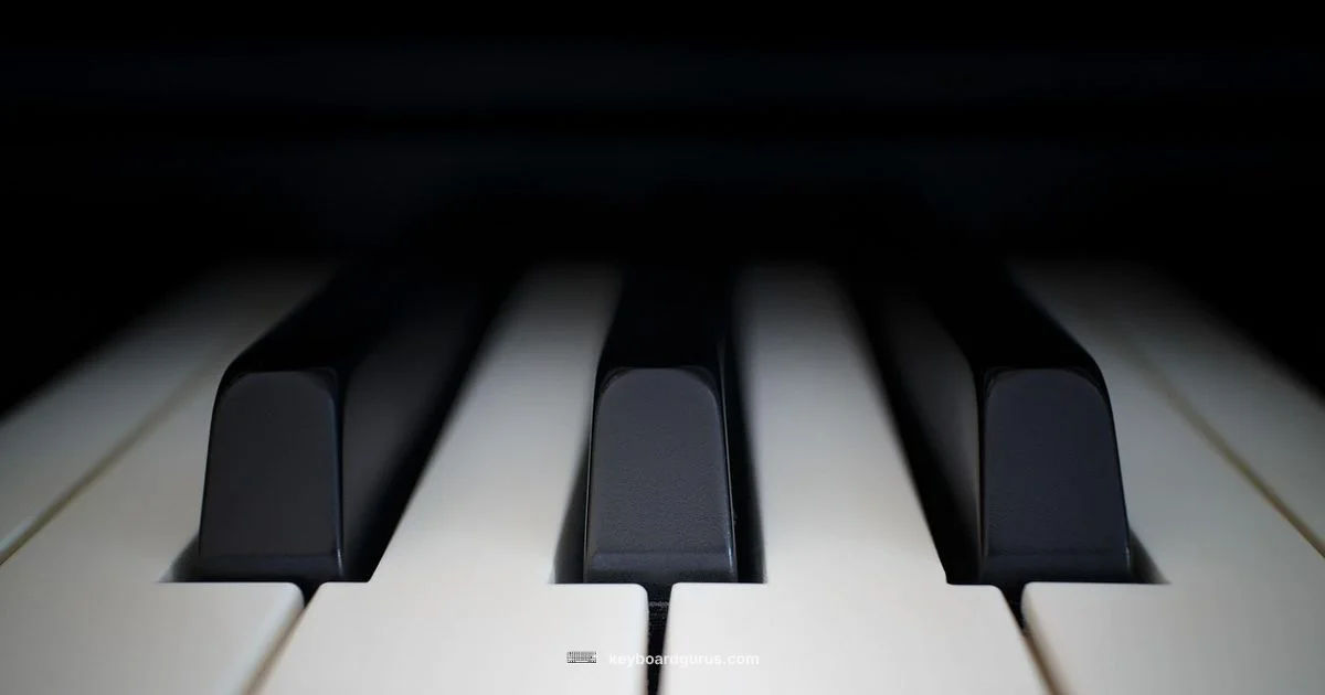 Notes Across Keys Notes Across Keys - Keyboard Gurus