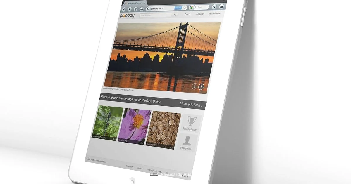 iPad Keyboard Battery - Keyboard Gurus