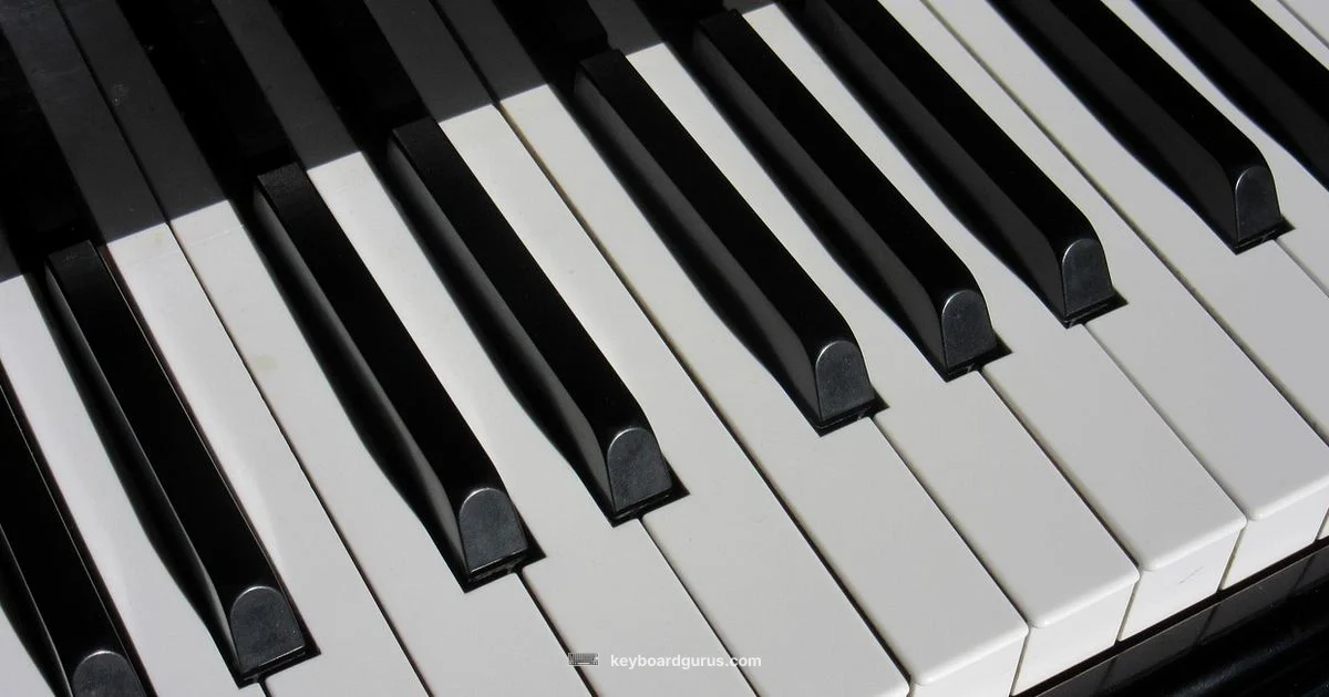 Piano Keyboard Keys - Keyboard Gurus