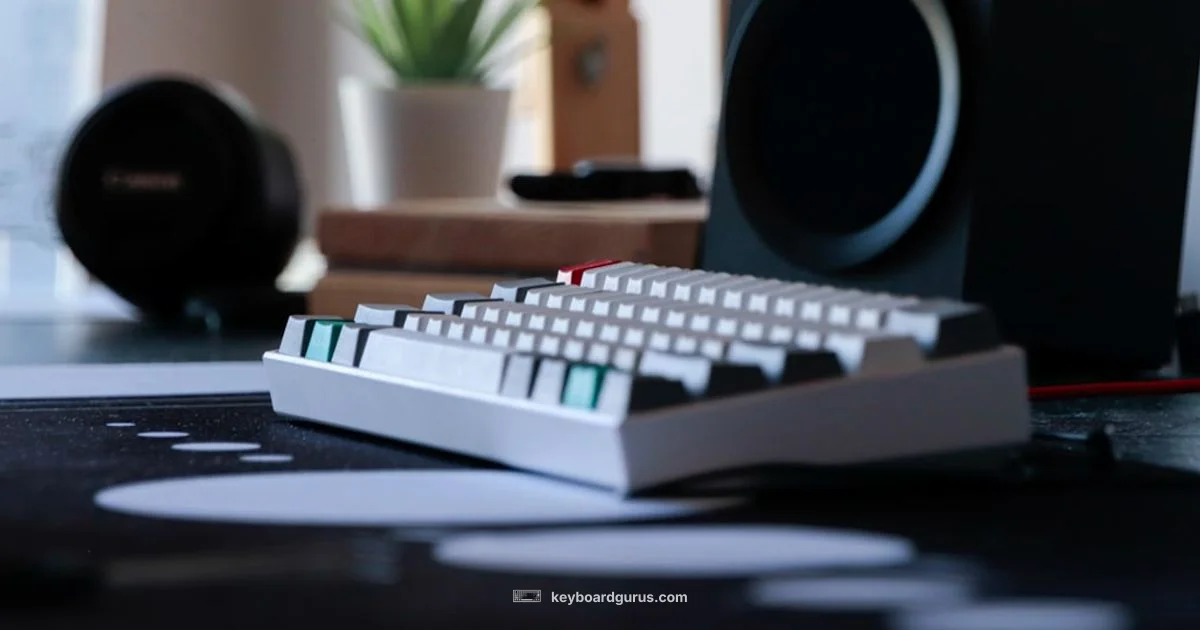 Compact 75 Keyboard Compact 75 Keyboard - Keyboard Gurus