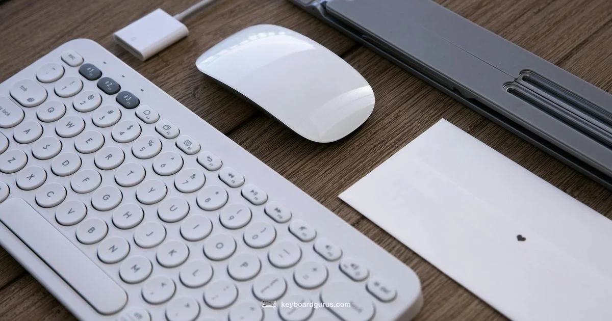 Keyboard Troubleshooting Keyboard Troubleshooting - Keyboard Gurus