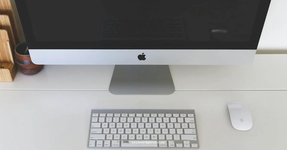 Under Desk Tray - Keyboard Gurus