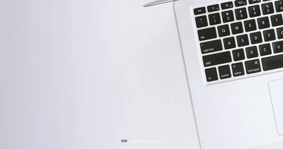 Laptop Keyboard Essentials - Keyboard Gurus