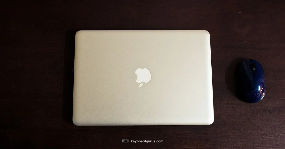 Magic Keyboard vs iPad Pro - Keyboard Gurus