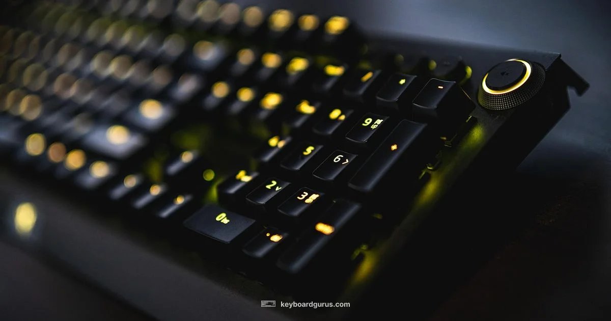 Gaming Keyboard Overview - Keyboard Gurus