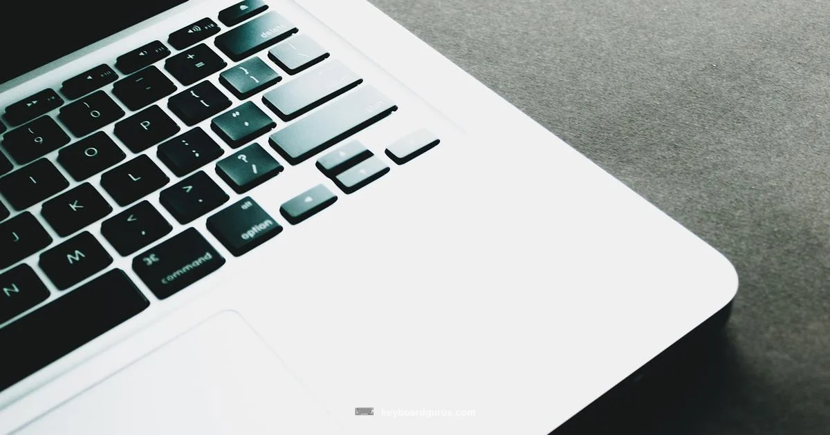 Keyboard Cover Protection - Keyboard Gurus