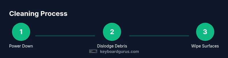 Process diagram showing power down, debris removal, and surface cleaning