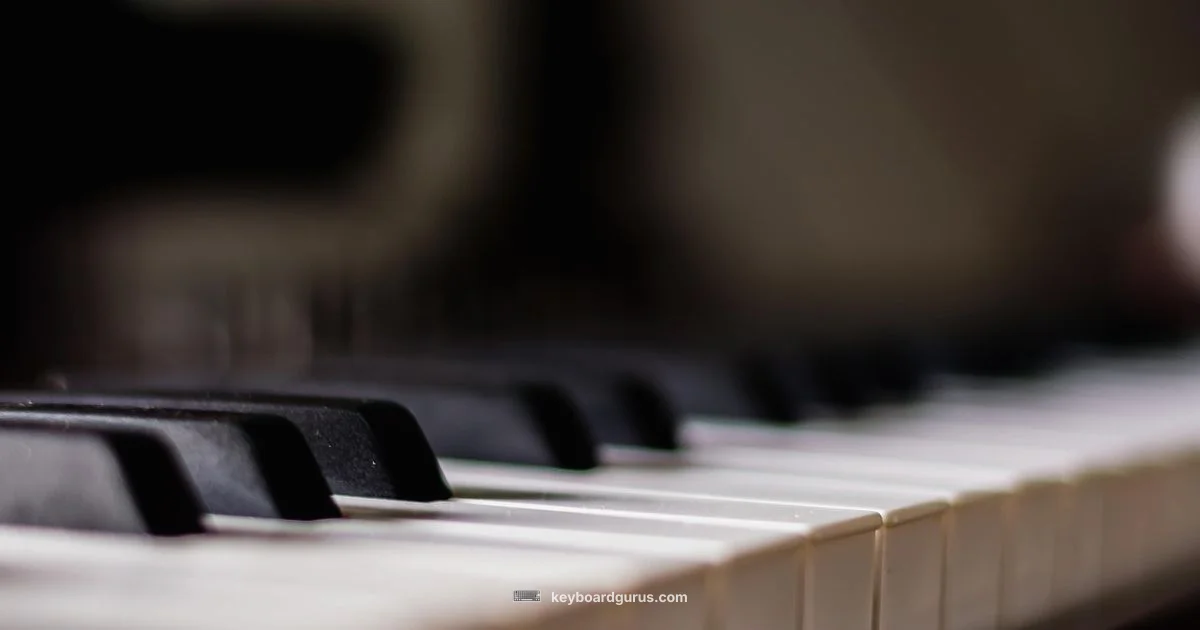 Digital Piano Guide Digital Piano Guide - Keyboard Gurus