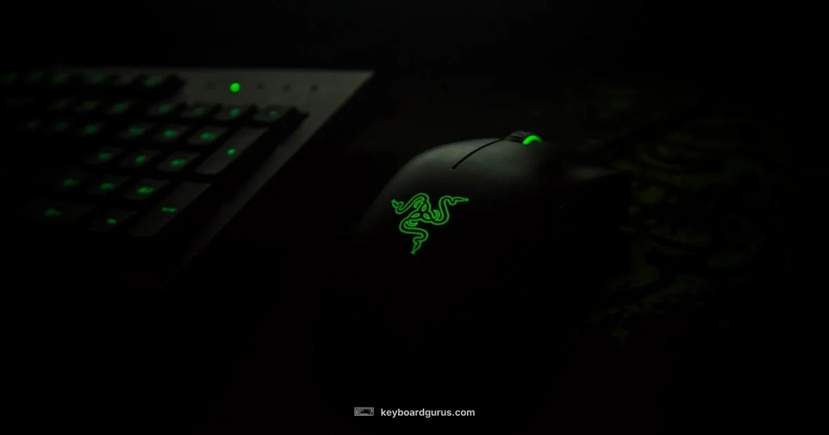 Wireless Razers - Keyboard Gurus