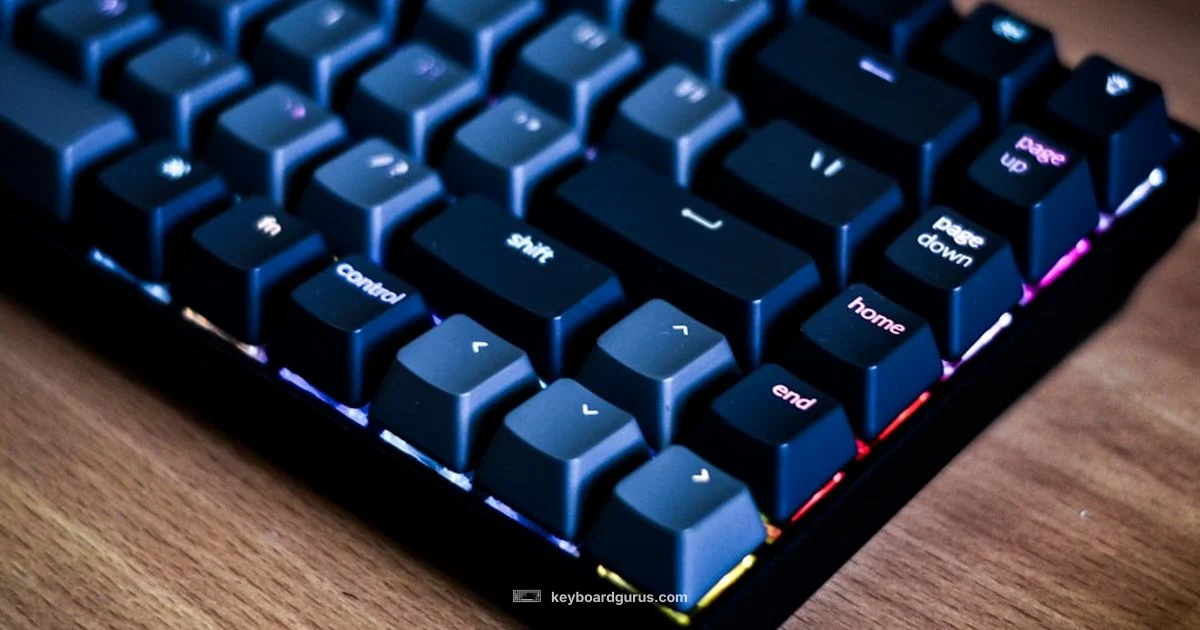 Switches Keyboard Guide - Keyboard Gurus