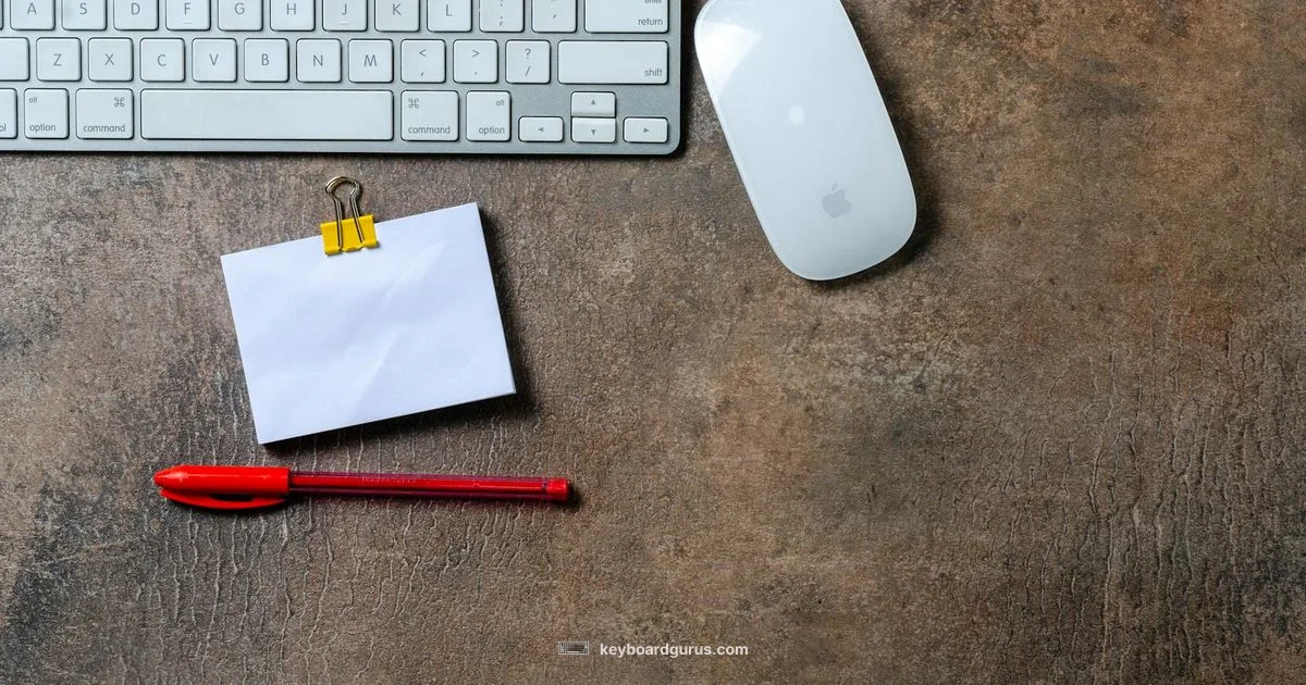 QWERTY vs DVORAK - Keyboard Gurus