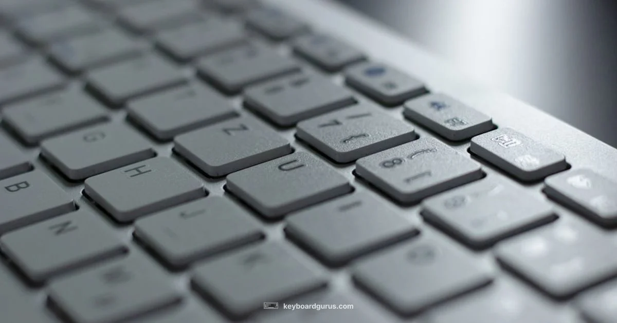 Keyboard View Basics - Keyboard Gurus