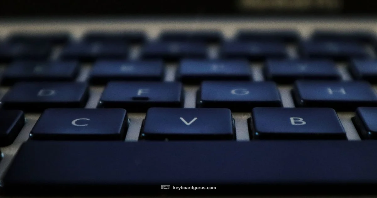 Magic Keyboard Overview - Keyboard Gurus