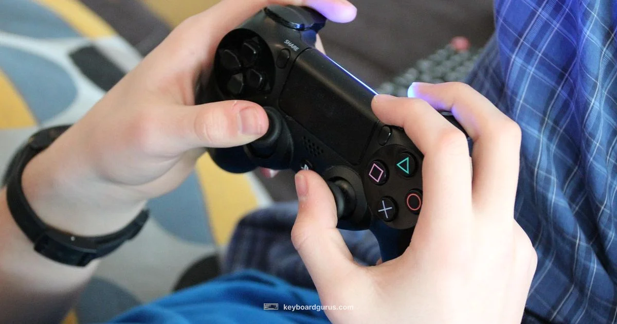 Controller Input Guide - Keyboard Gurus