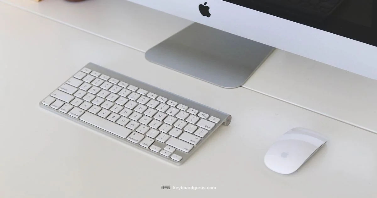 Mac Copy & Paste - Keyboard Gurus