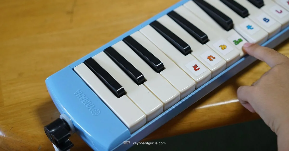 Kids Keyboard Guide - Keyboard Gurus